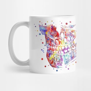 Jaw, jaw anatomy, mandible Mug